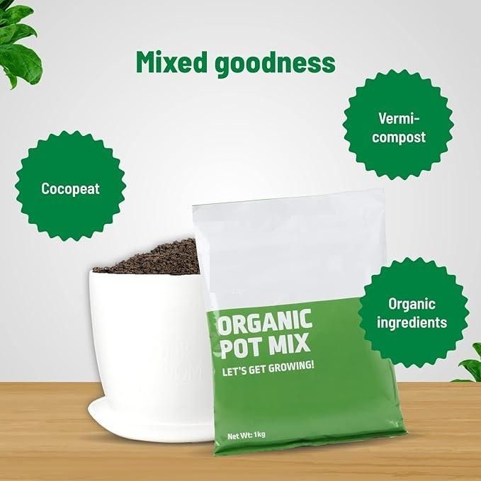 Magic Organic Pot Mix 500gm